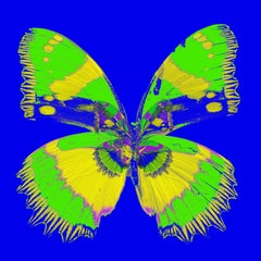 "Butterfly Monarch #2" Print on Canvas 40x40 in Ed. of 75 by Mick Fleetwood