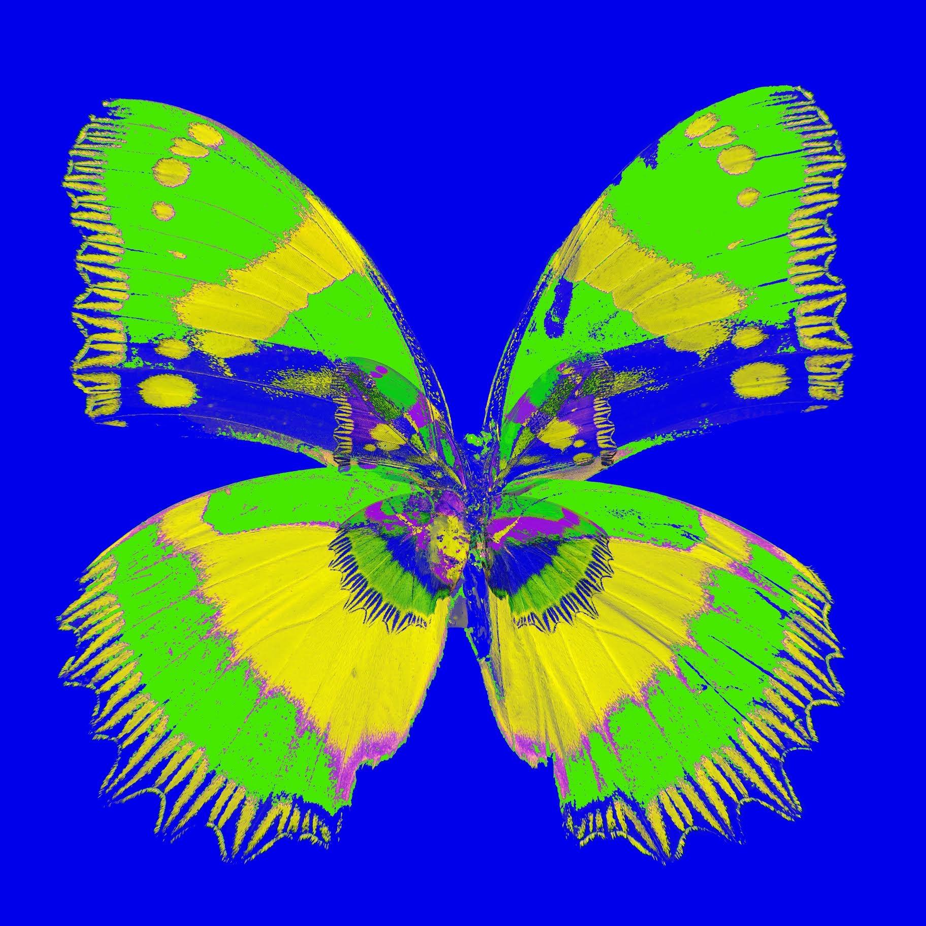 "Butterfly Monarch #2" Impression sur toile 40x40 en édition de 75 par Mick Fleetwood

Impression numérique sur toile
Non encadré 

Mick Fleetwood, batteur légendaire et membre fondateur de Fleetwood Mac, a collaboré avec Gerard Marti, propriétaire