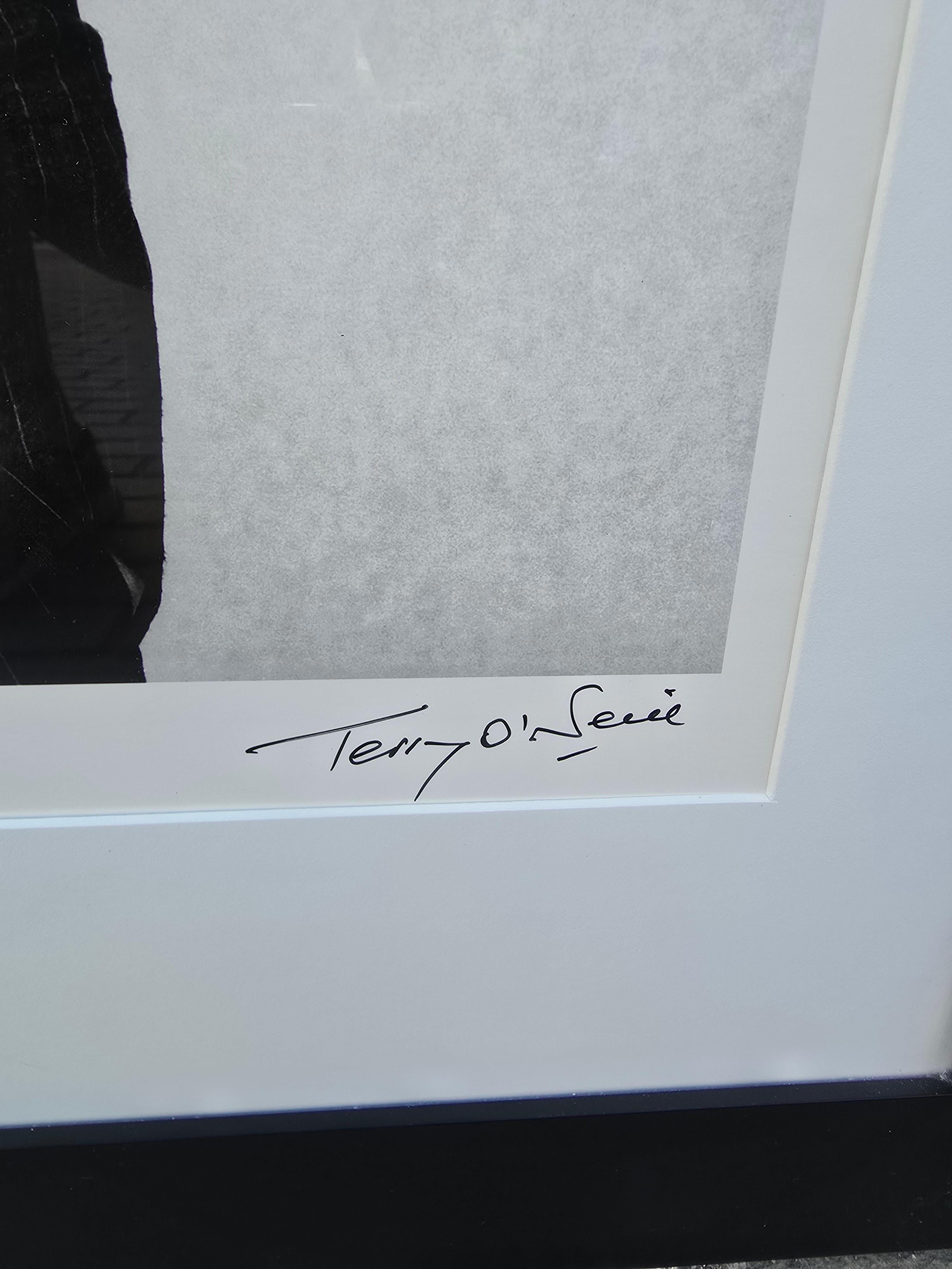 Mick Jagger, 1976 - Photographie de Terry O'Neill en vente 1