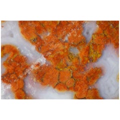 Micro Cosmic Photographic Print 01 by Desia Ava