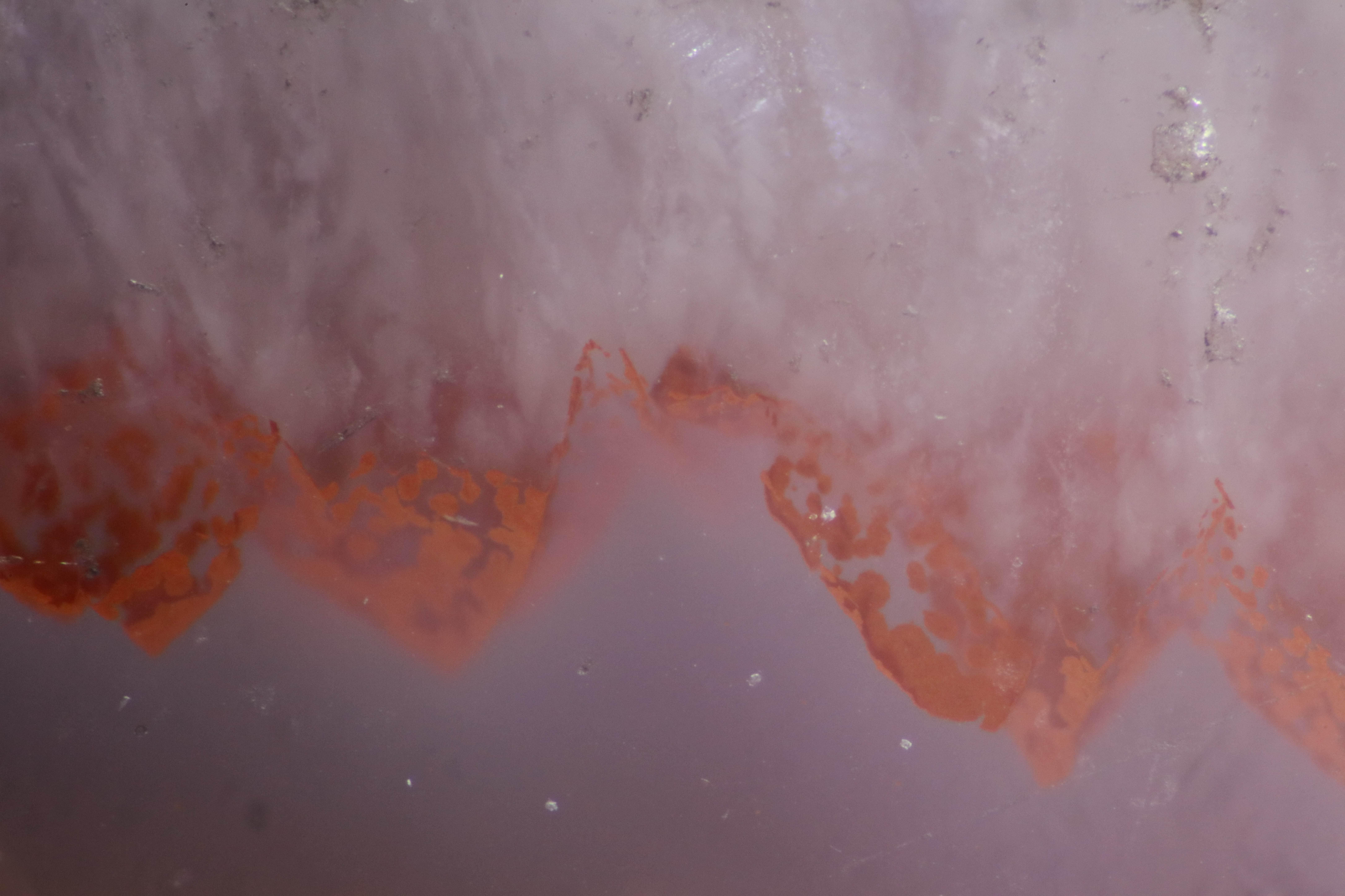 Micro-cosmic is a photographic and video exploration of crystals and minerals under a microscope.
In a scale not visible to the human eye these images could be interpreted as cosmic Formations, topographic landscapes, cells or living organisms. All