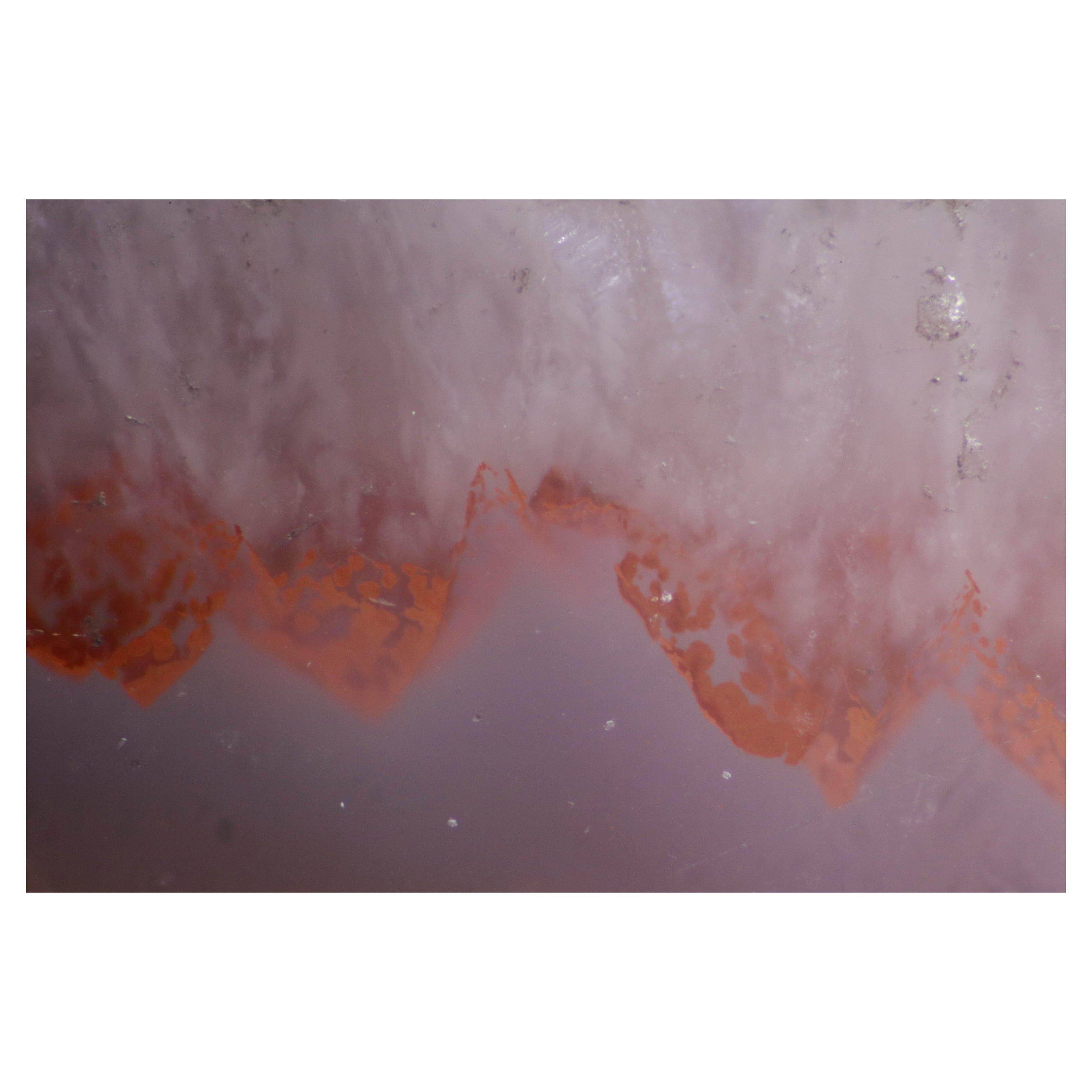 Micro Cosmic Photographic Print 02 by Desia Ava For Sale