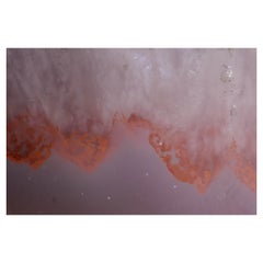 Micro Cosmic Photographic Print 02 by Desia Ava
