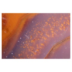 Micro Cosmic Photographic Print 07 by Desia Ava