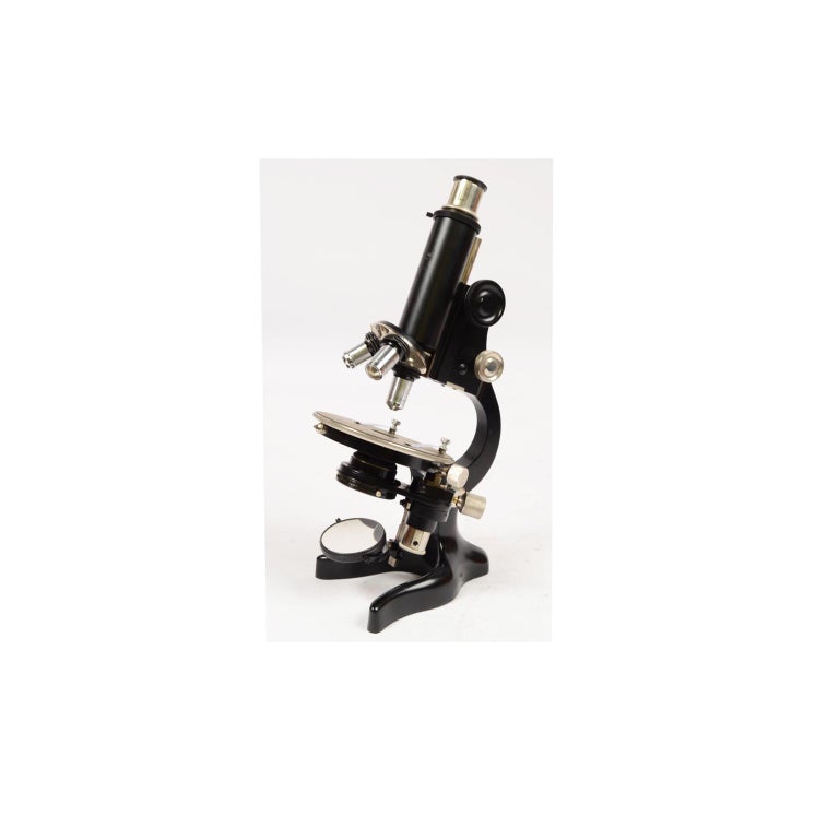 Milan 1920/30 Antique Microscope by F.lli Koristka Wooden Box with ...