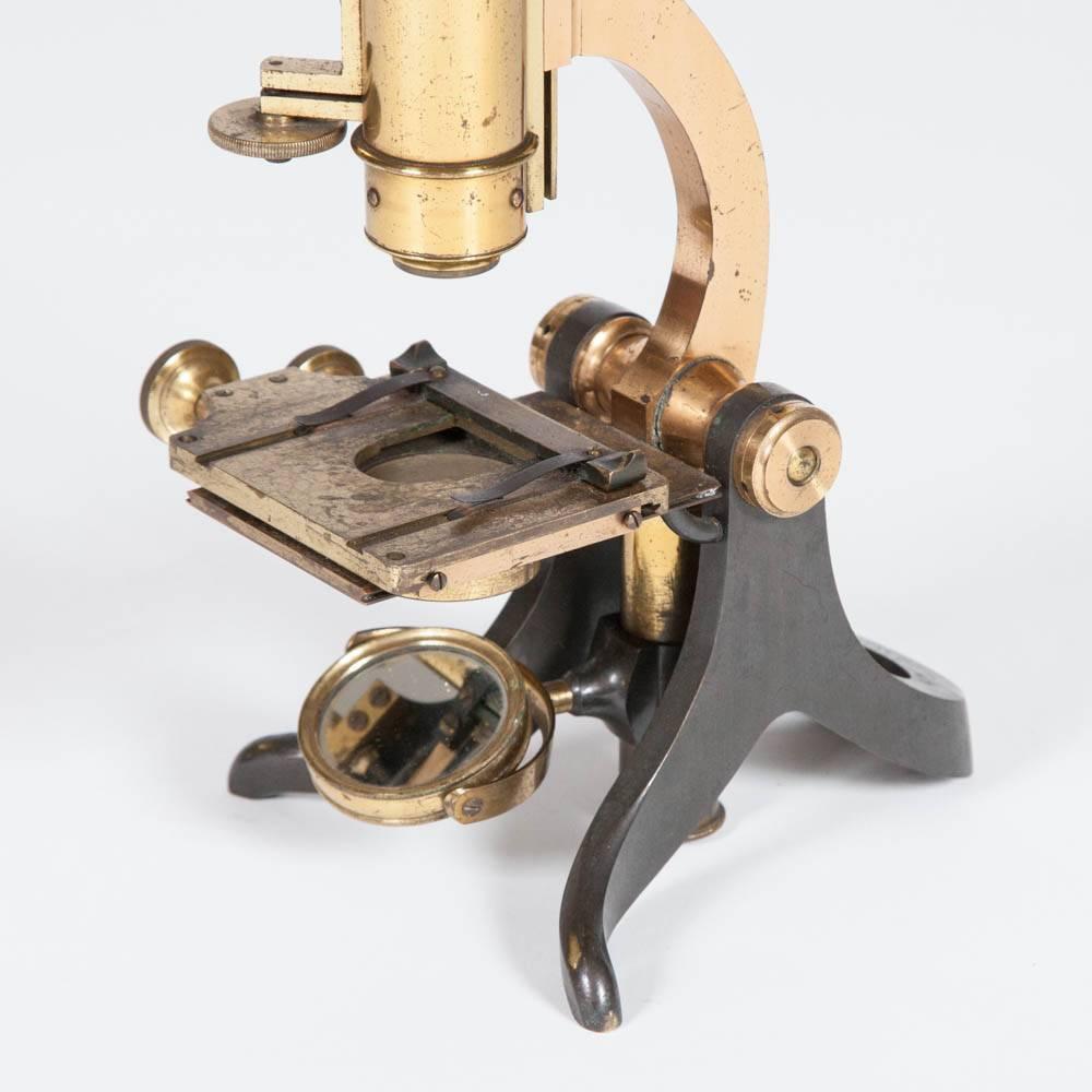 English Microscope by W. F. Archer of Liverpool