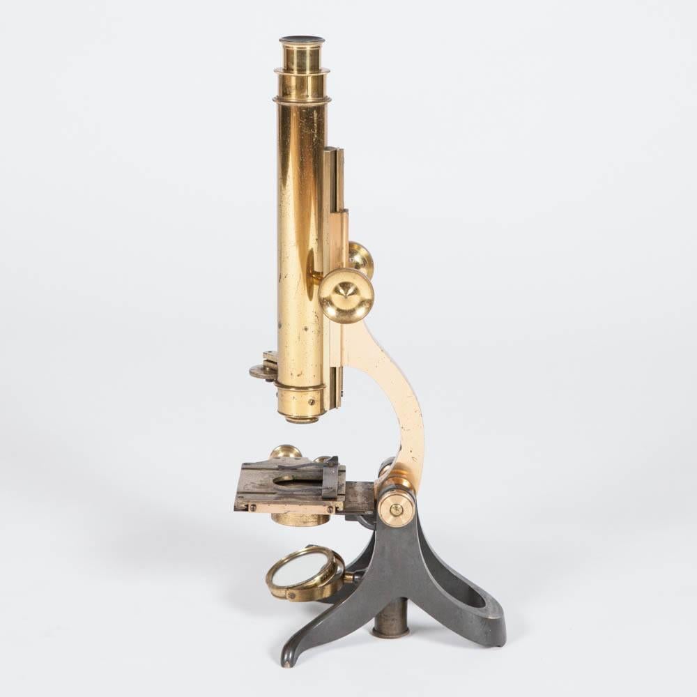 19th Century Microscope by W. F. Archer of Liverpool