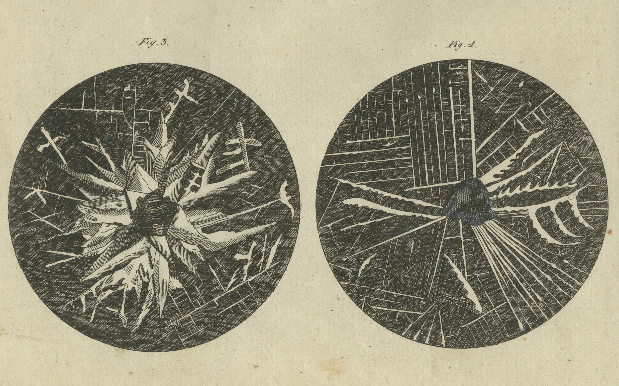 Engraved Microscopic Views of Metallic Crystal Trees: Copper, Lead, Pewter and Zinc, 1805 For Sale
