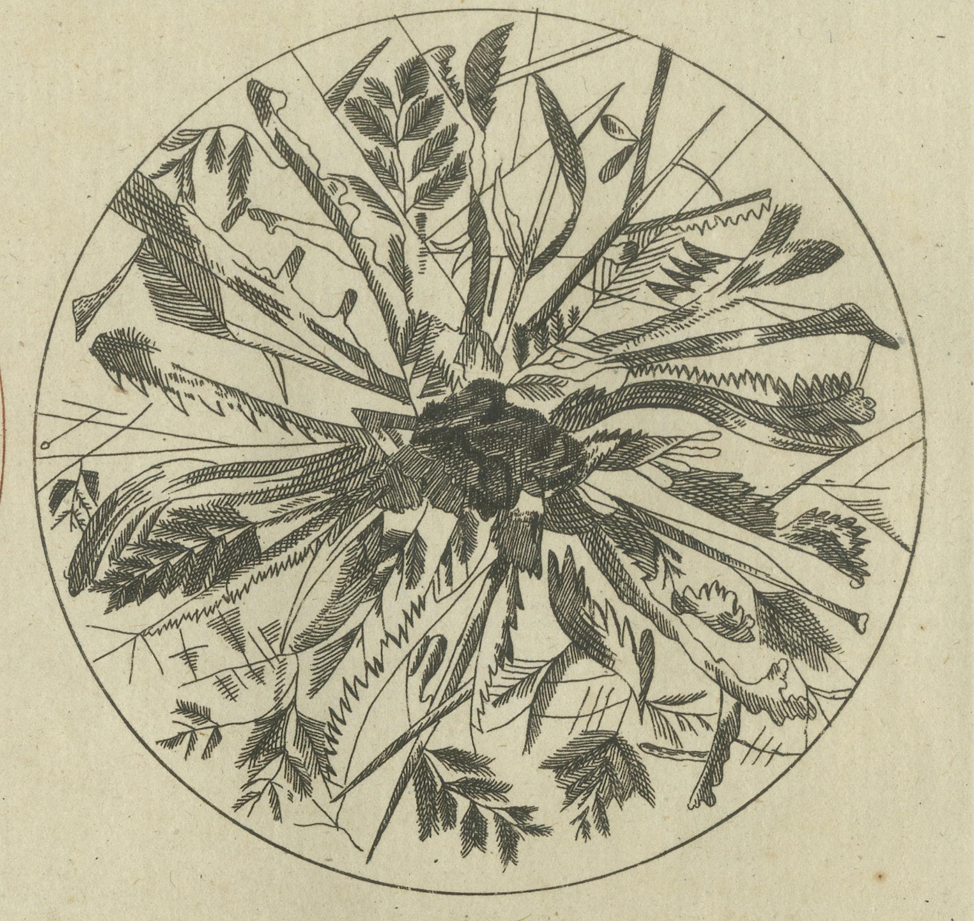 Microscopic Views of Metallic Crystal Trees: Copper, Lead, Pewter and Zinc, 1805 In Good Condition For Sale In Langweer, NL