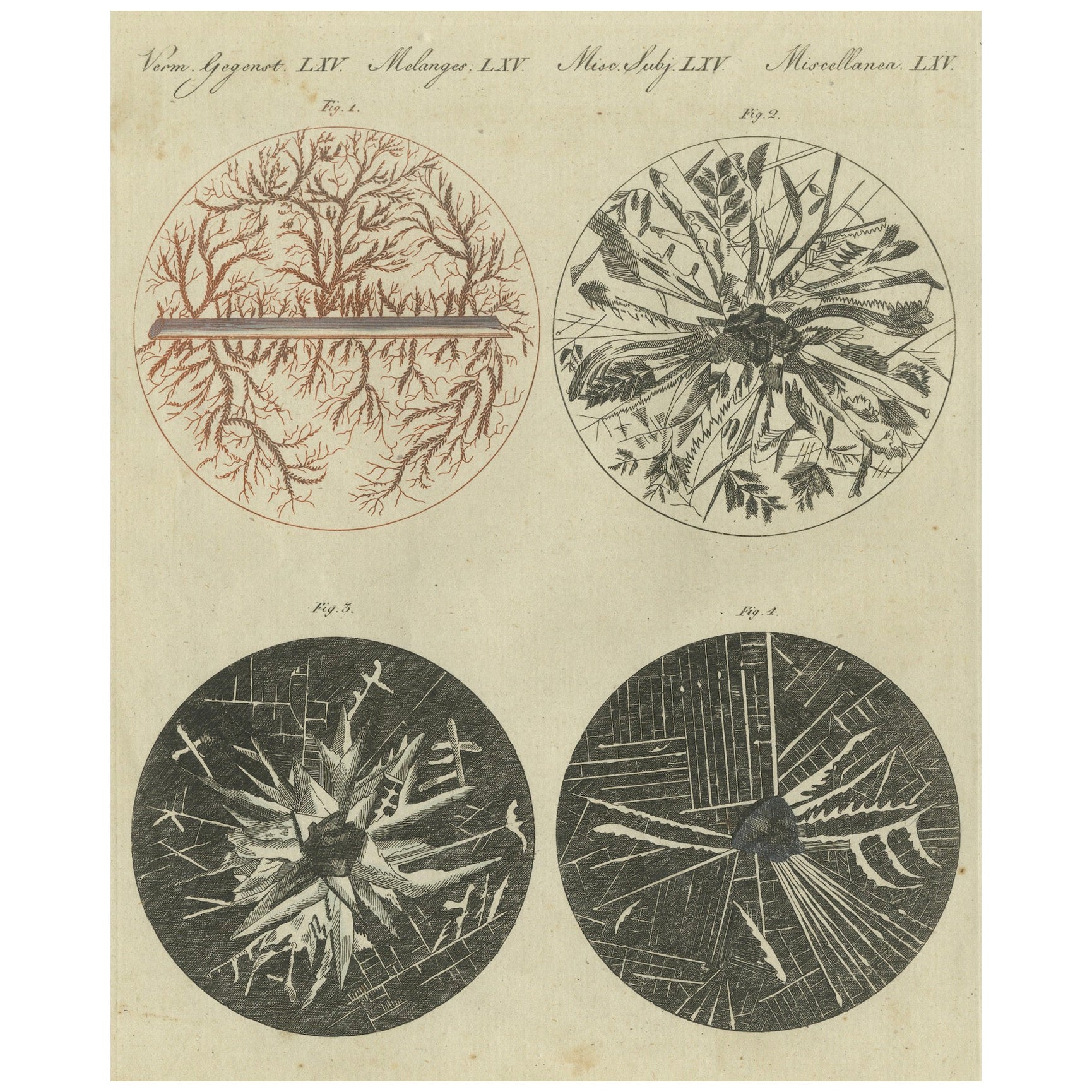 Microscopic Views of Metallic Crystal Trees: Copper, Lead, Pewter and Zinc, 1805 For Sale
