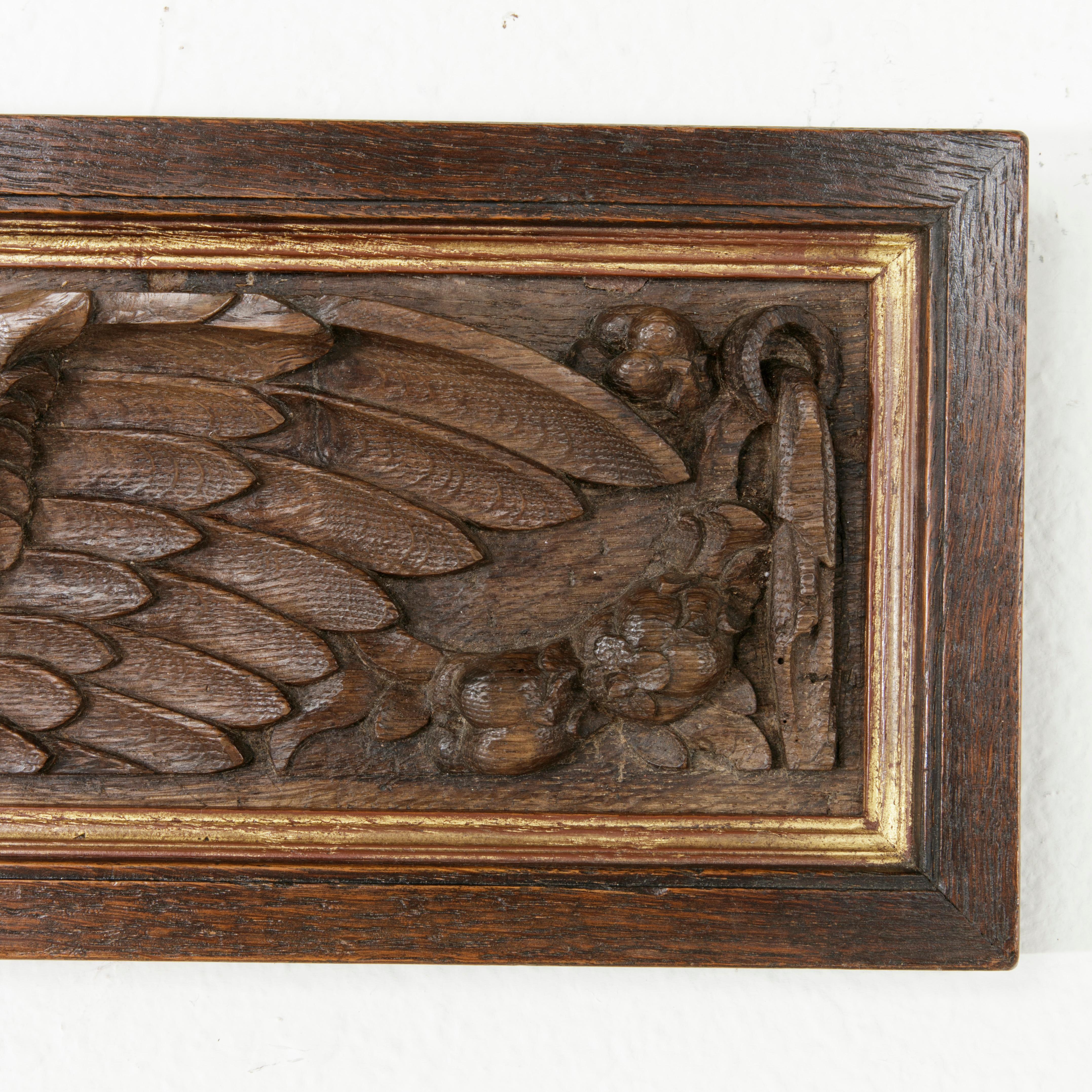 Mid-18th Century French Framed Hand Carved Oak Panel with Angel and Gilt Details 2