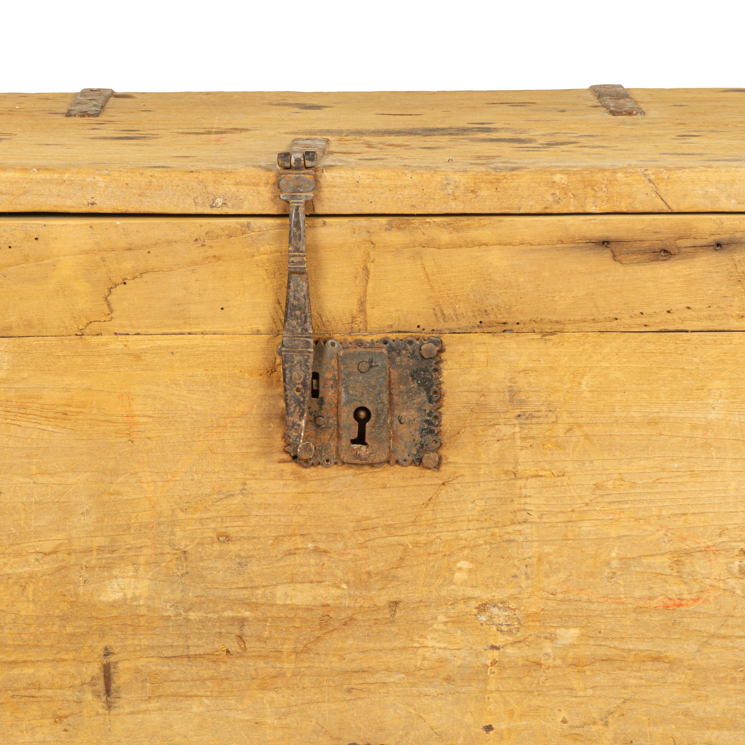 mexican trunk