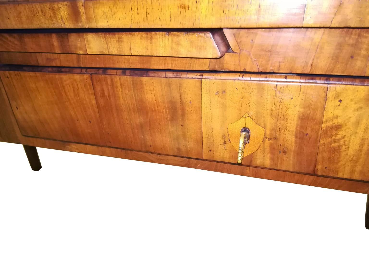 Italy Mid-18th Century Olive Root Wood Desk with Drawings in Regency Style In Good Condition For Sale In Brescia, IT