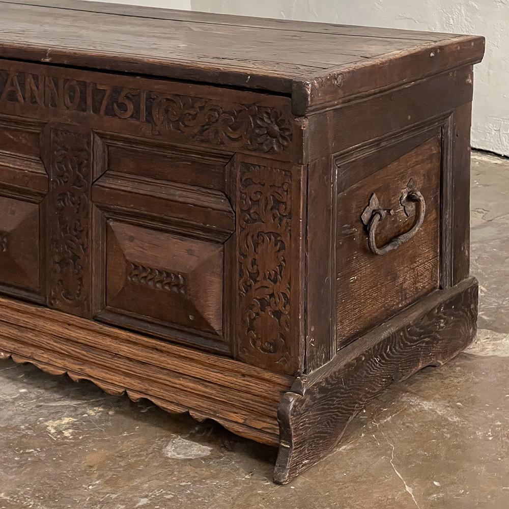 Mid-18th Century Rustic German Trunk ~ Blanket Chest For Sale 9