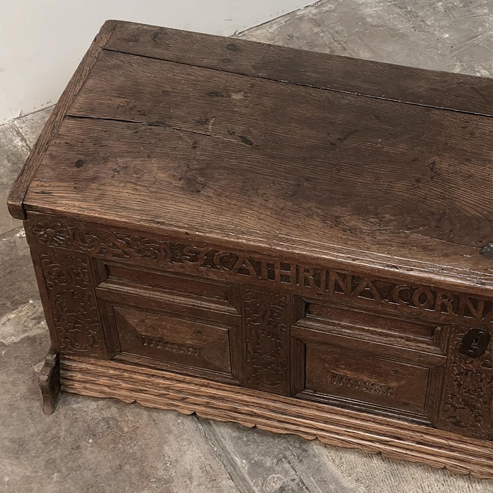 Mid-18th Century Rustic German Trunk ~ Blanket Chest For Sale 2