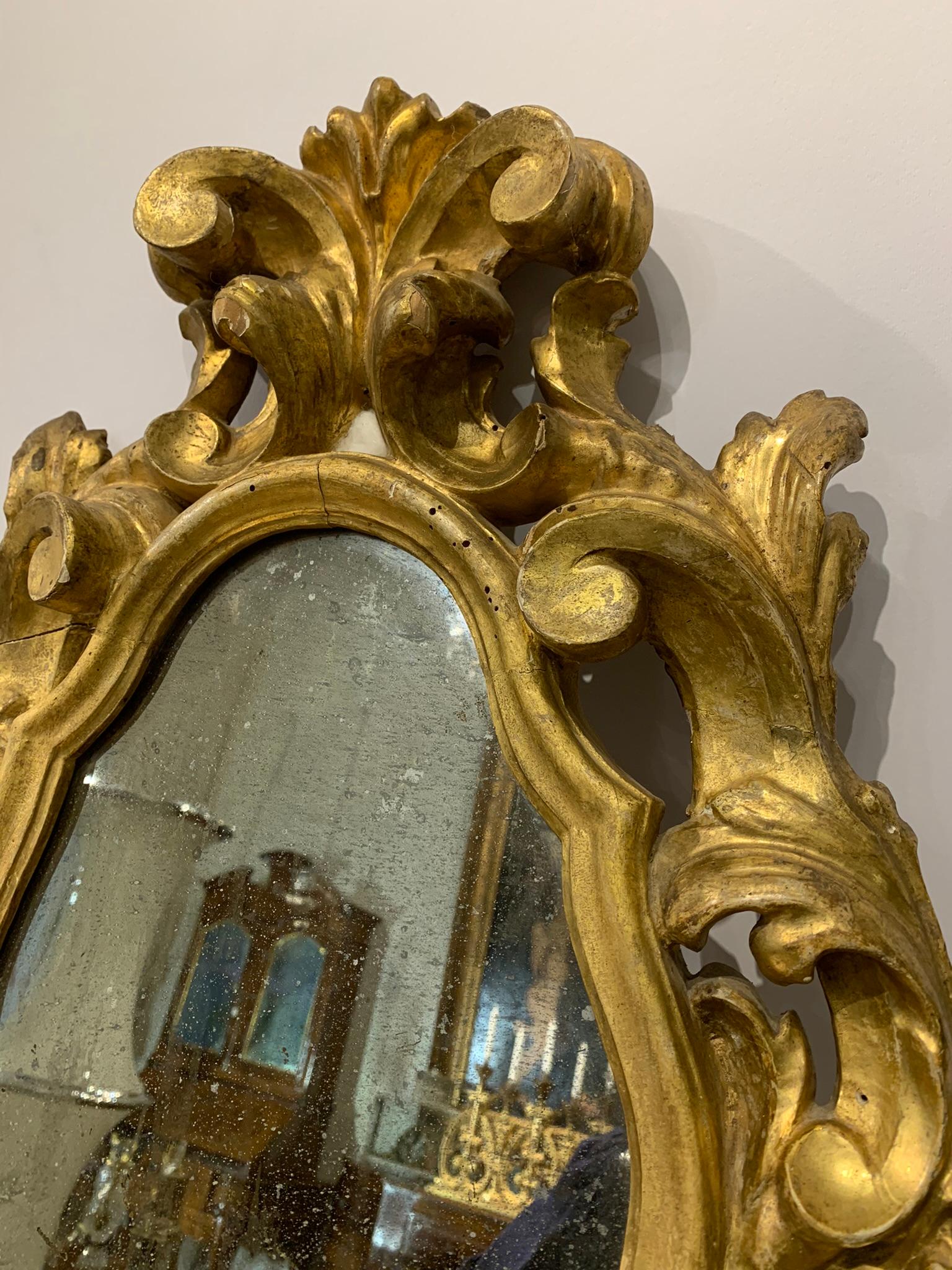 Mid 18th Century Tuscany Pair of Giltwood Mirrors For Sale 2
