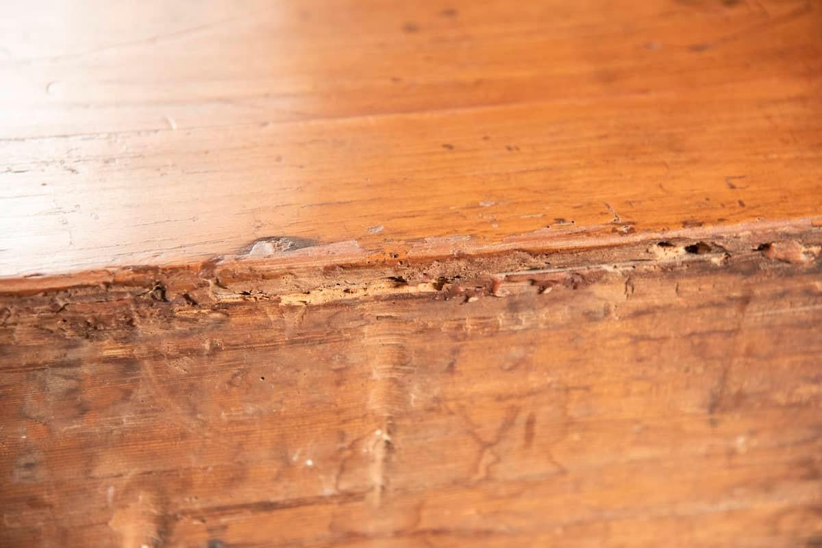 Mid-18th Century Venetian Cherrywood Chest of Drawers with Distressed Finish For Sale 13