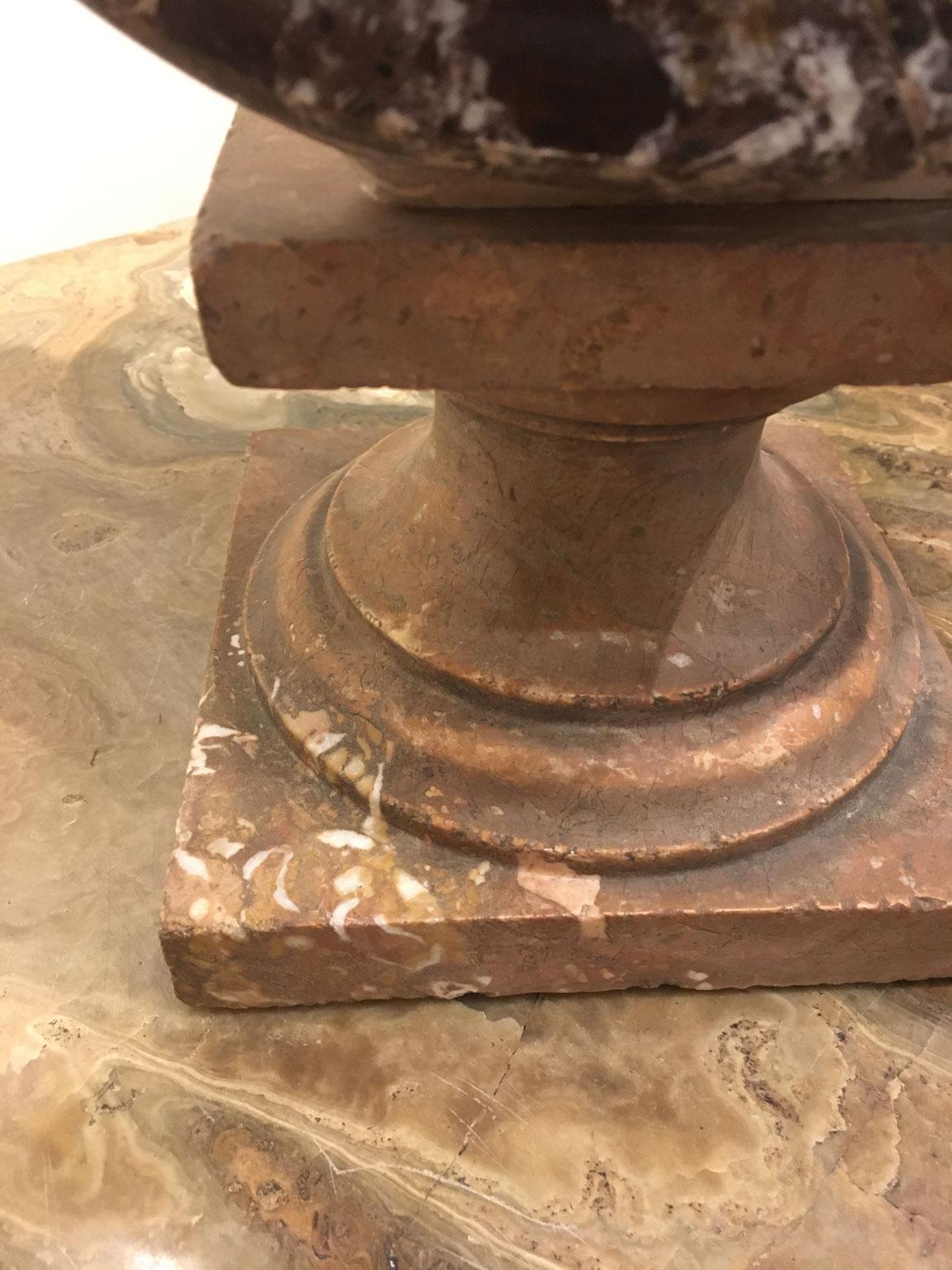 Mediados del siglo XVIII Venezia Italia Escultura de mármol negro Busto de mujer joven en venta 11