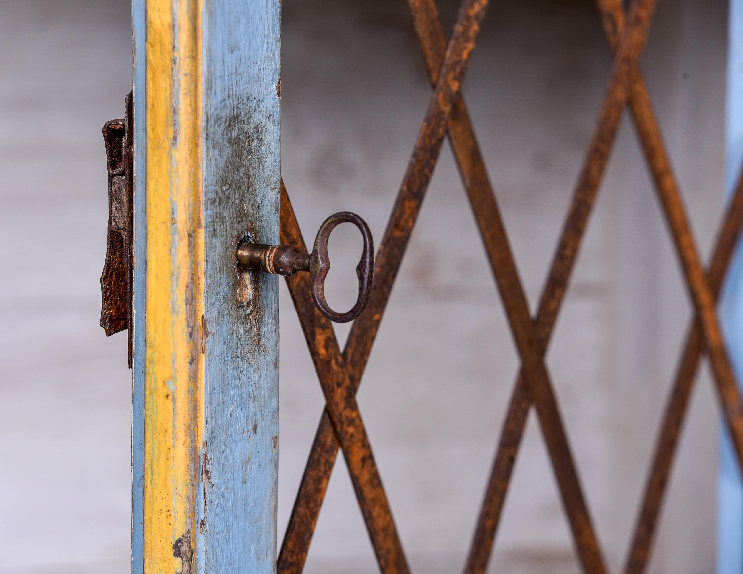Italienisches blau lackiertes Schrank mit Metallgittertüren aus der Mitte des 19. Jahrhunderts 4
