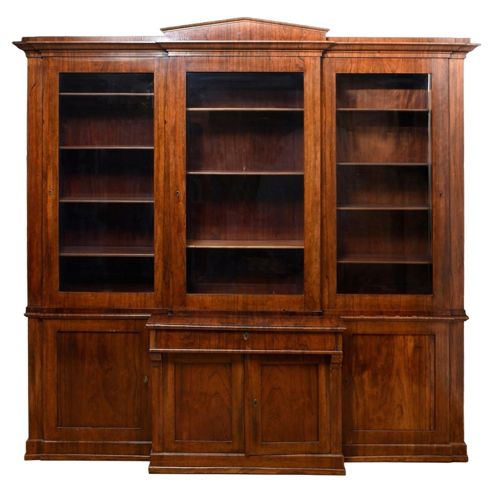 Mid-19th Century Antique Bookcase For Sale
