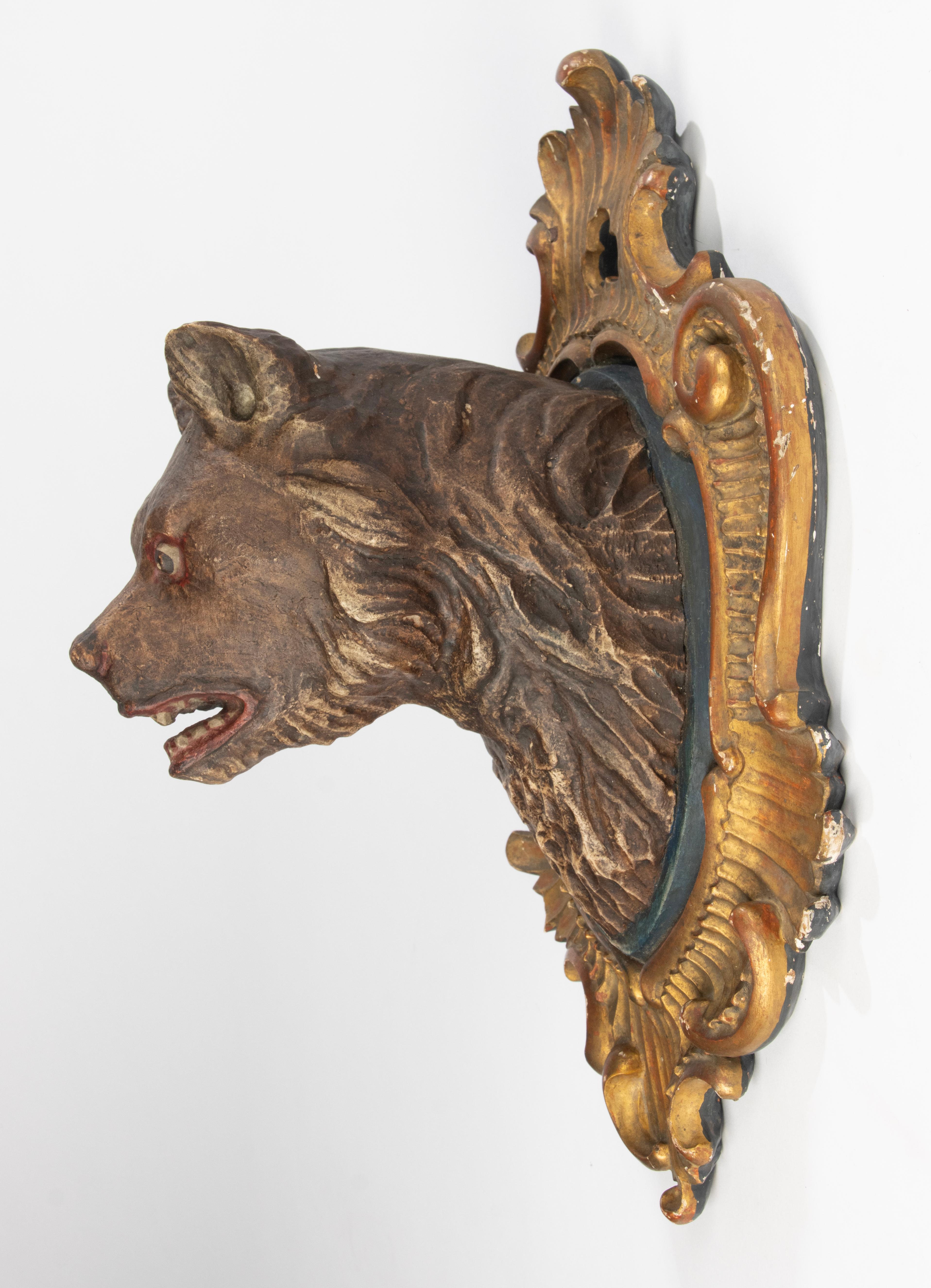 A rare Black Forest wall sculpture with a bear head, hand sculpted from chestnut wood. Polychrome painted head, on a wood sculpted rococo-style frame with scrolls with a gold leaf finish. The bear's expressive features, textured fur, and slightly
