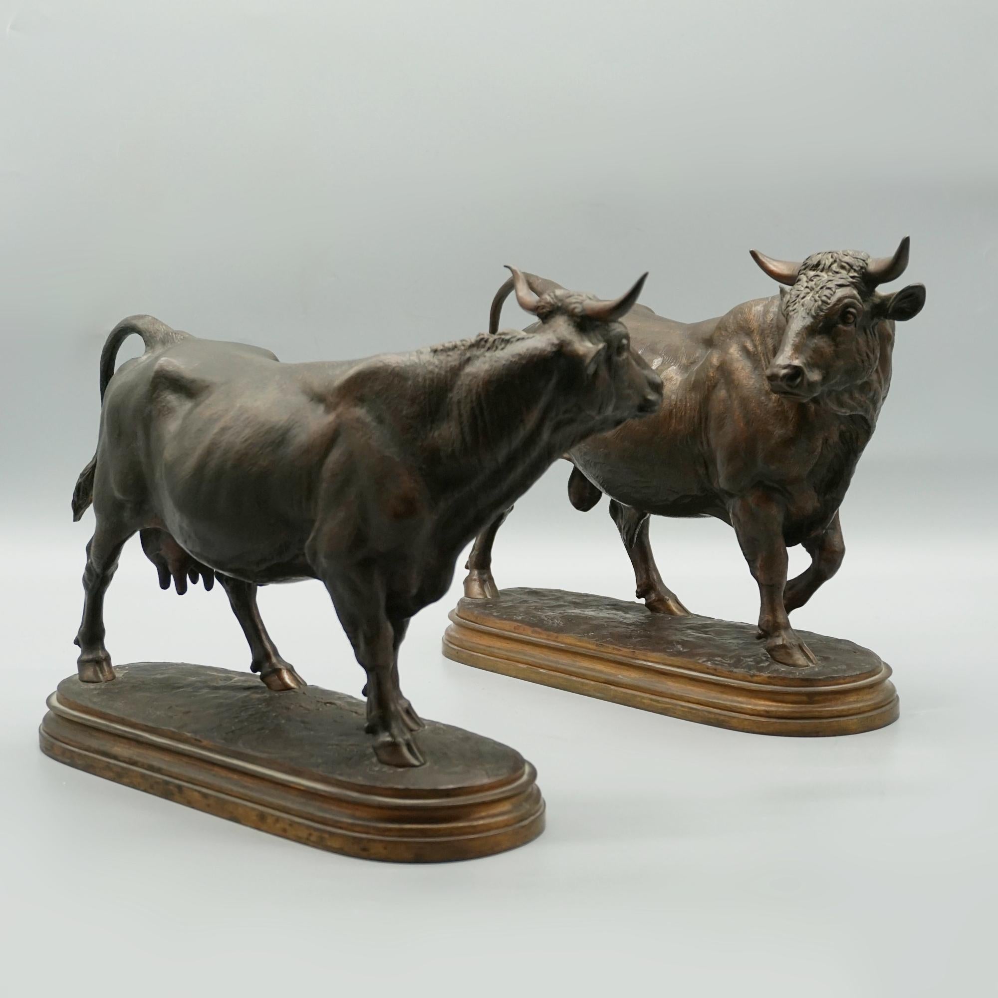 Mid 19th Century Bronze Sculptures of a Bull and Cow by Isidore Bonheur C1865 6