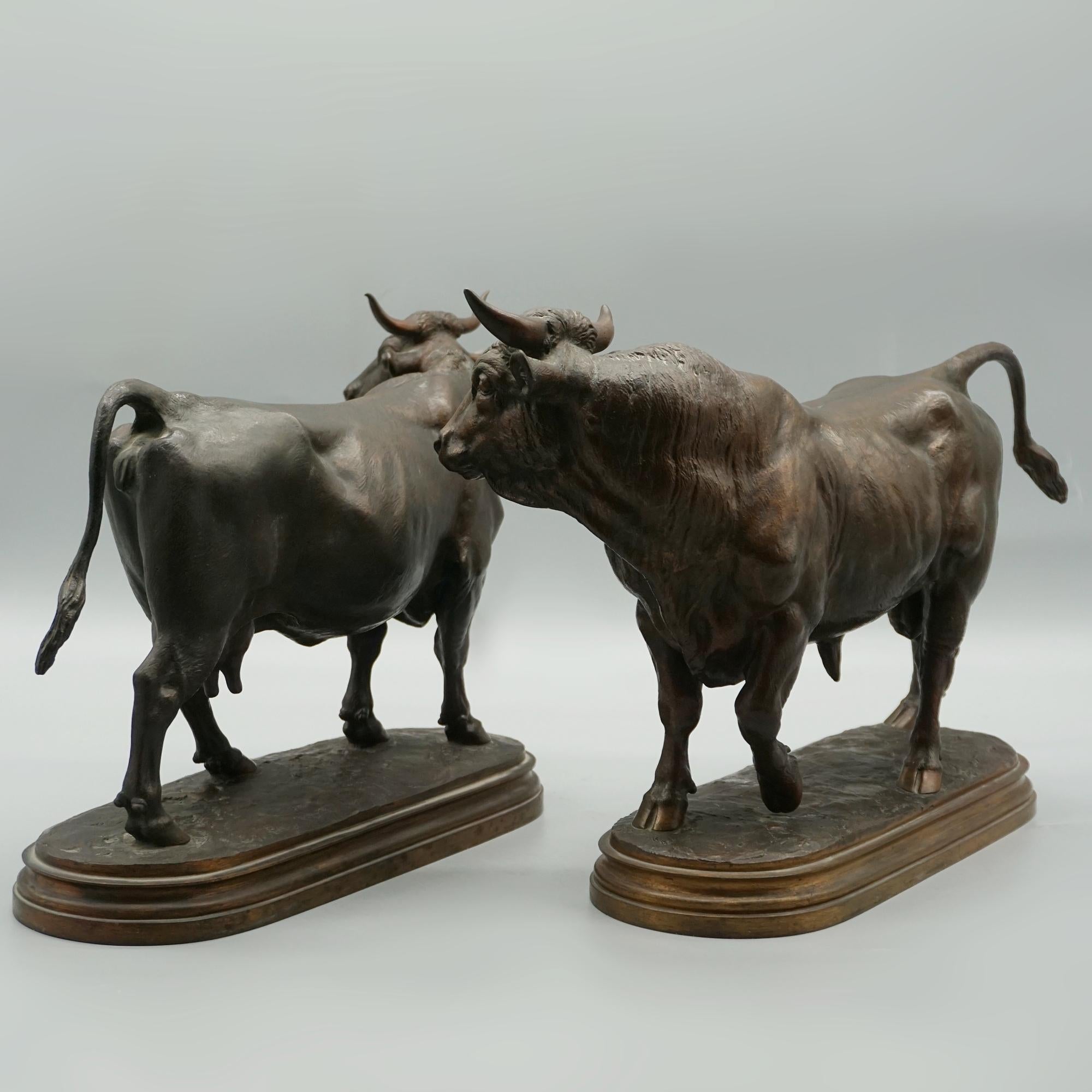 Mid 19th Century Bronze Sculptures of a Bull and Cow by Isidore Bonheur C1865 7
