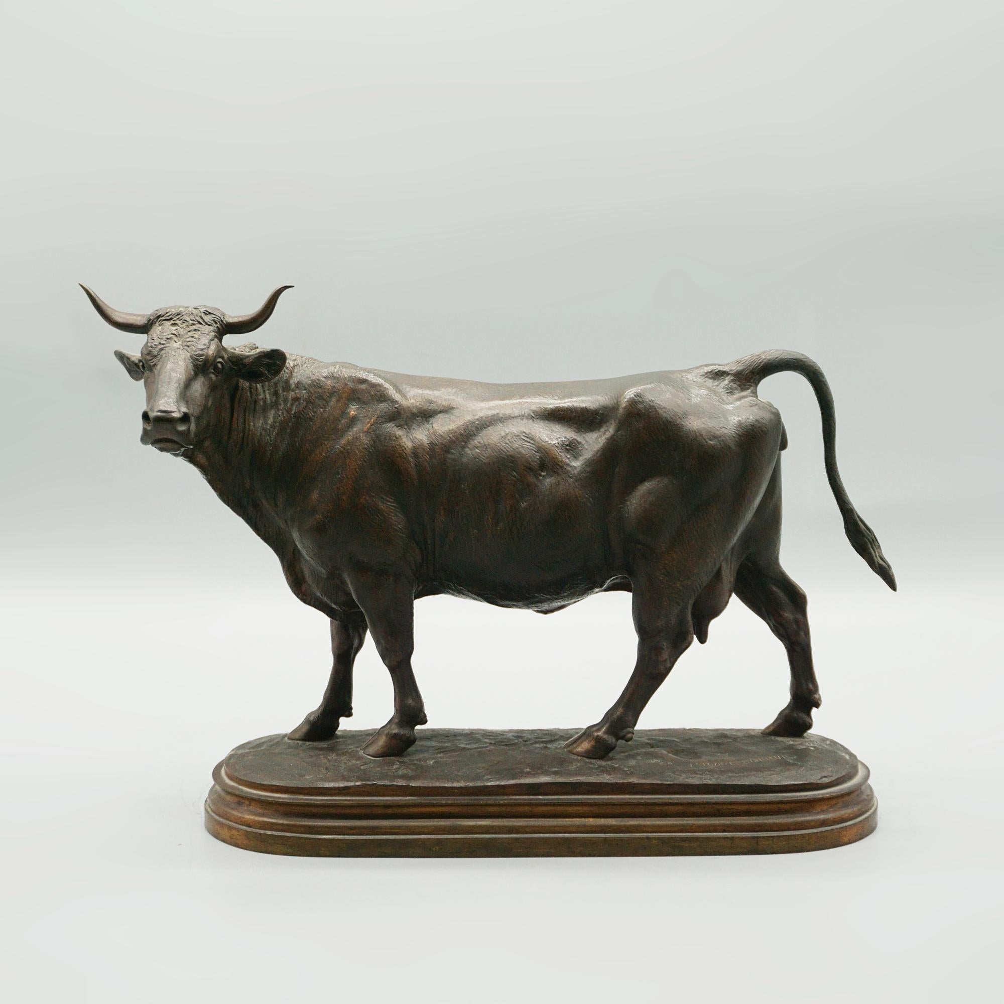 Mid 19th Century Bronze Sculptures of a Bull and Cow by Isidore Bonheur C1865 11
