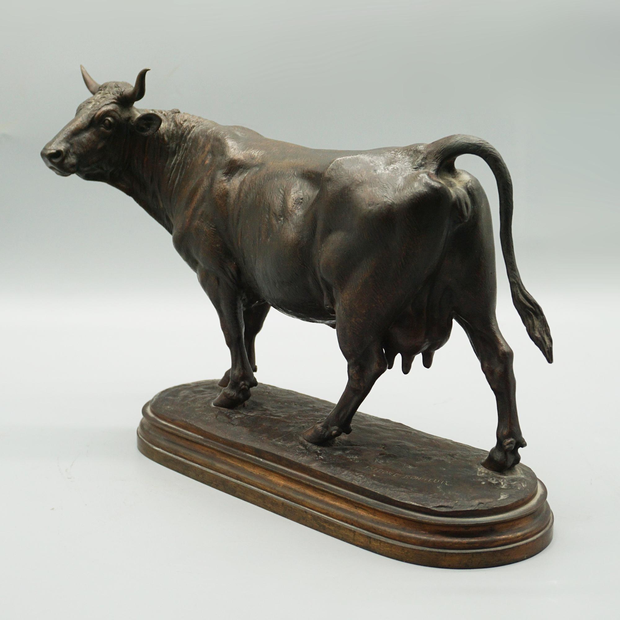 Mid 19th Century Bronze Sculptures of a Bull and Cow by Isidore Bonheur C1865 12