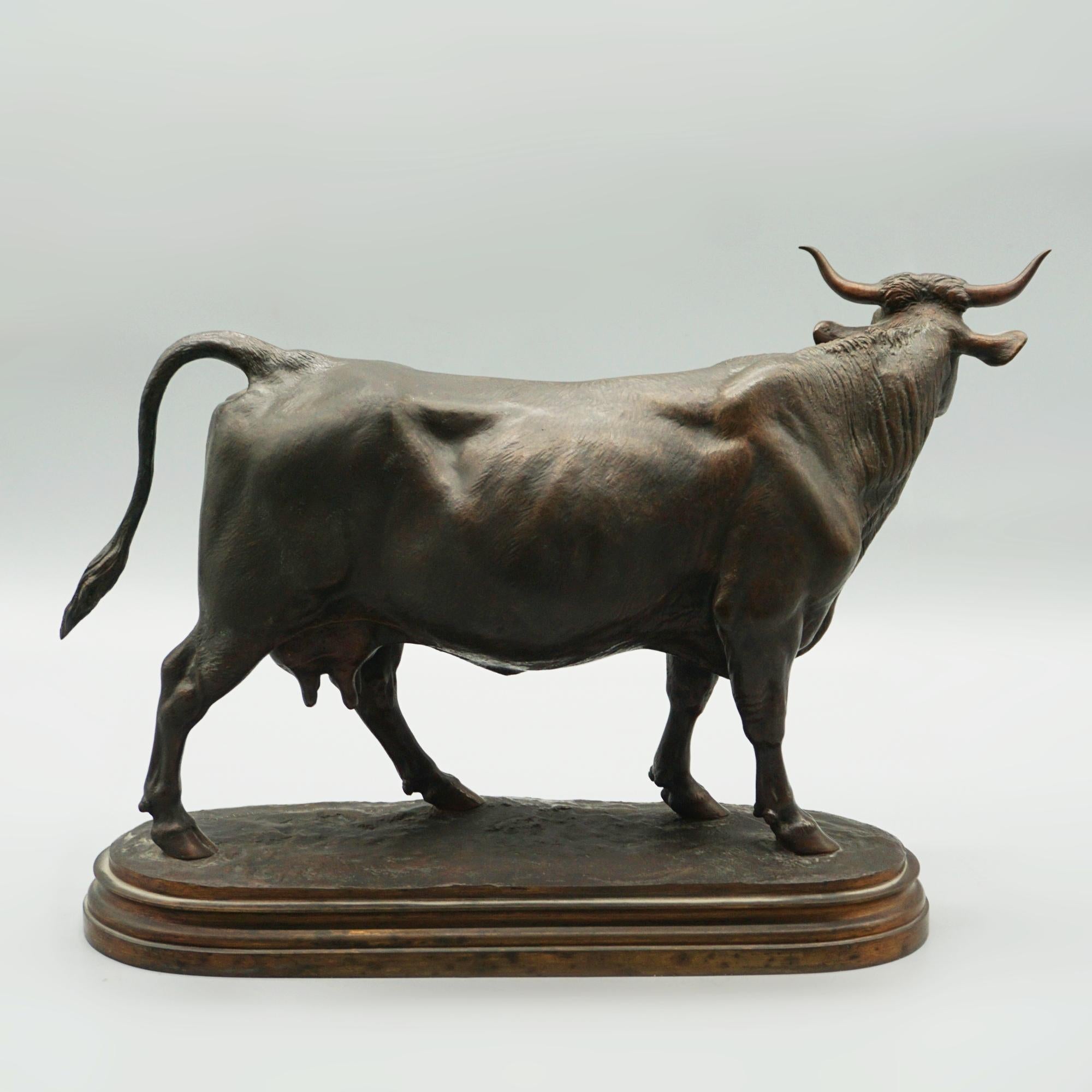 Mid 19th Century Bronze Sculptures of a Bull and Cow by Isidore Bonheur C1865 15