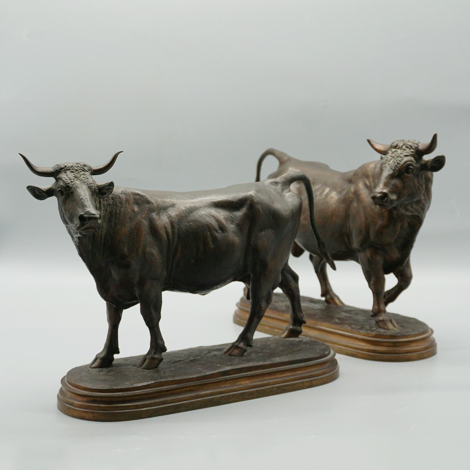 Mid 19th Century Bronze Sculptures of a Bull and Cow by Isidore Bonheur C1865 3