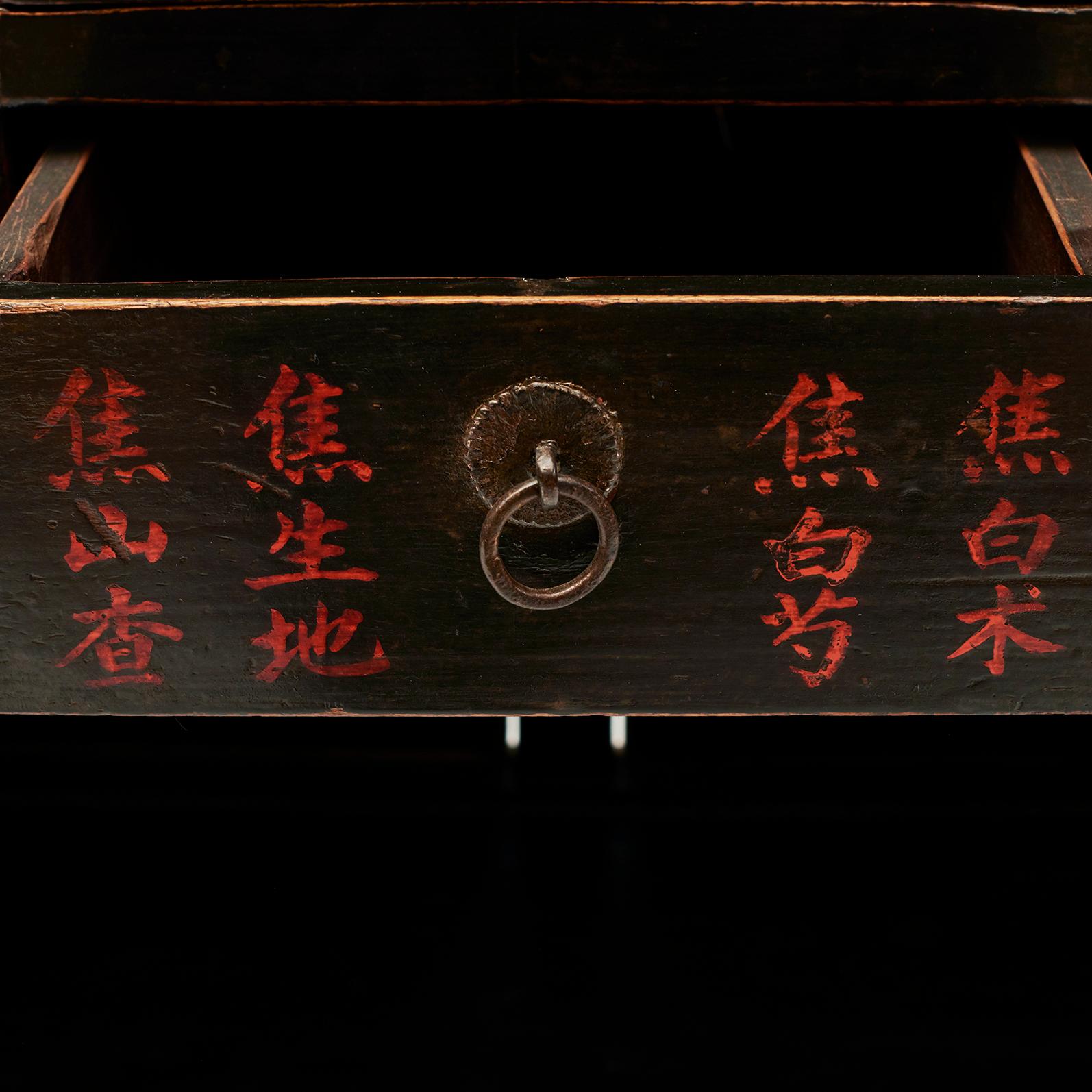 Mid-19th Century Chinese Apothecary Medicine Cabinet with 25 Drawers 2