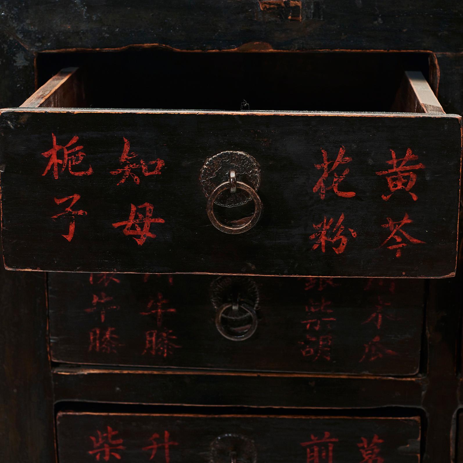 Qing Mid-19th Century Chinese Apothecary Medicine Cabinet with 25 Drawers
