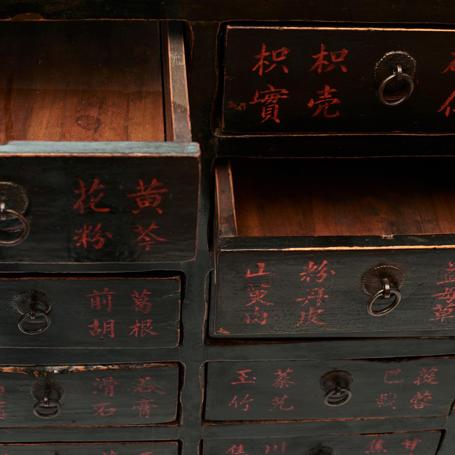 Lacquered Mid-19th Century Chinese Apothecary Medicine Cabinet with 25 Drawers