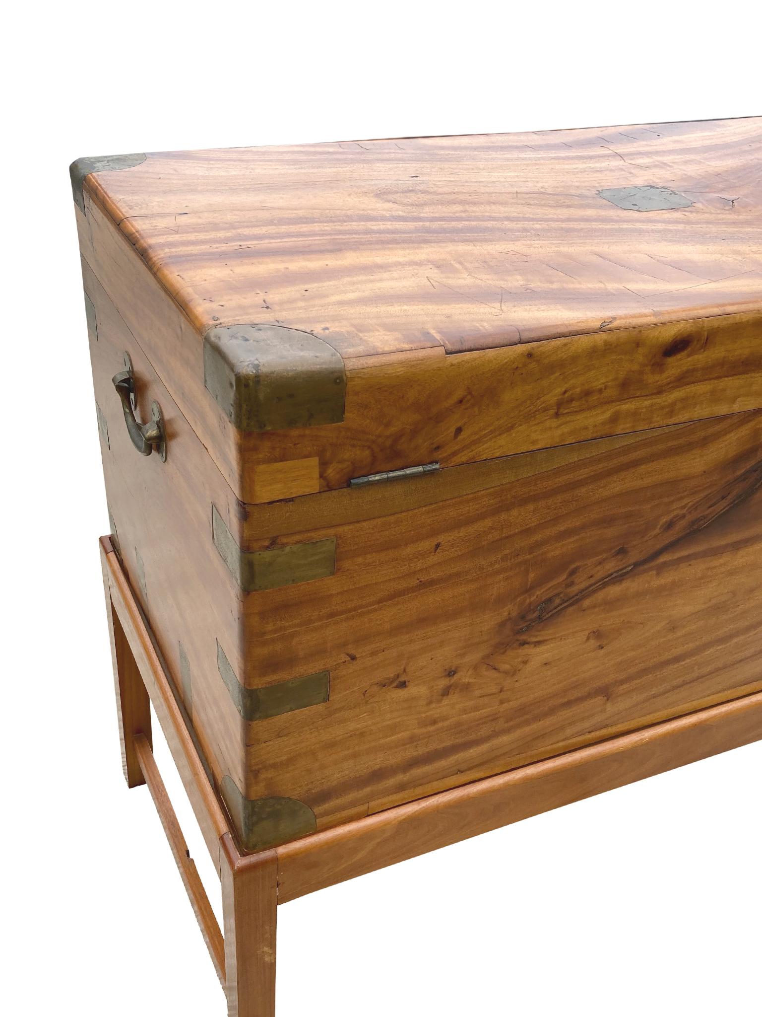 Mid-19th Century Chinese Camphor Chest 6