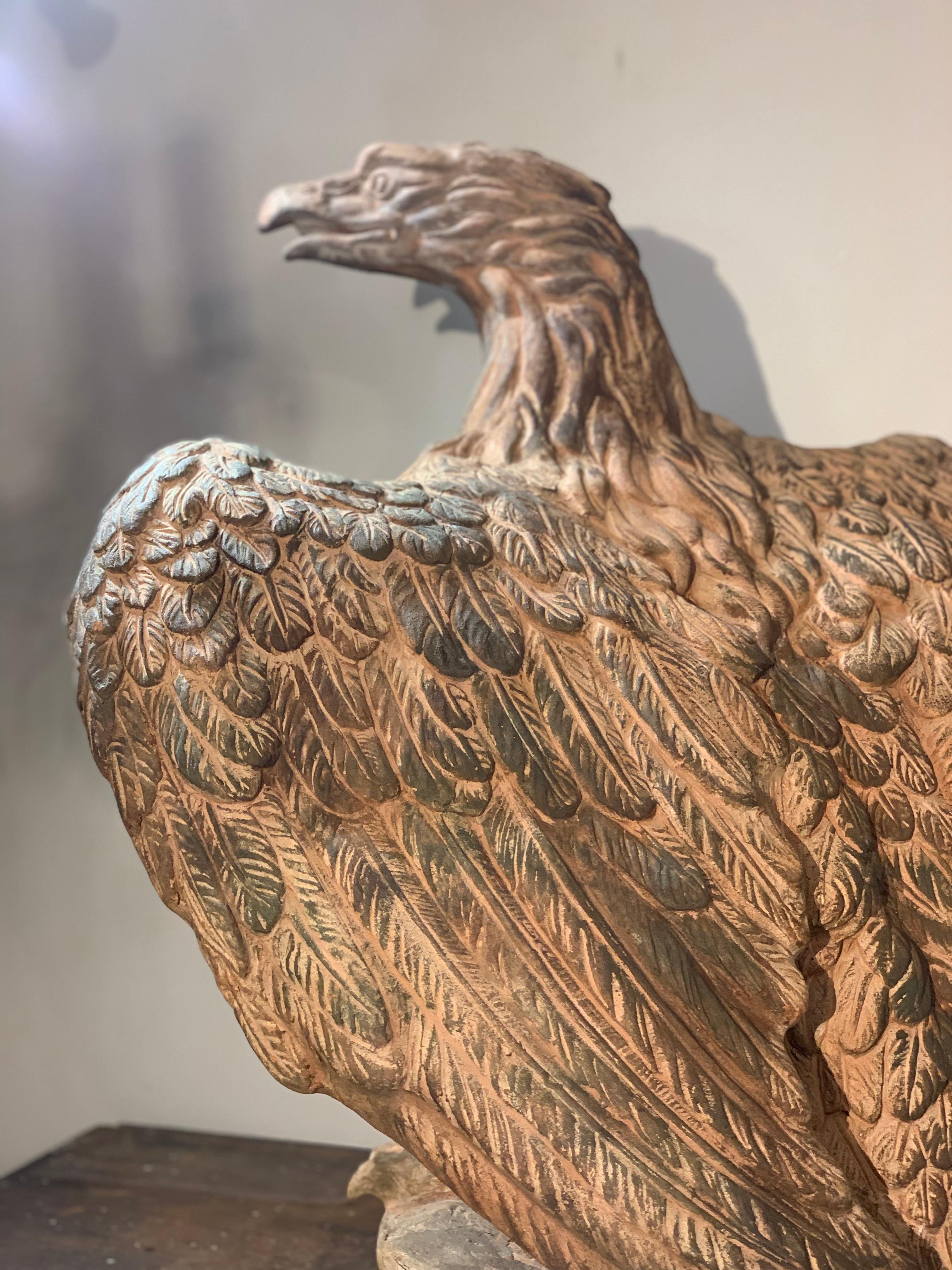 Mid-19th Century, Couple of Tuscany Terracotta Eagles 6