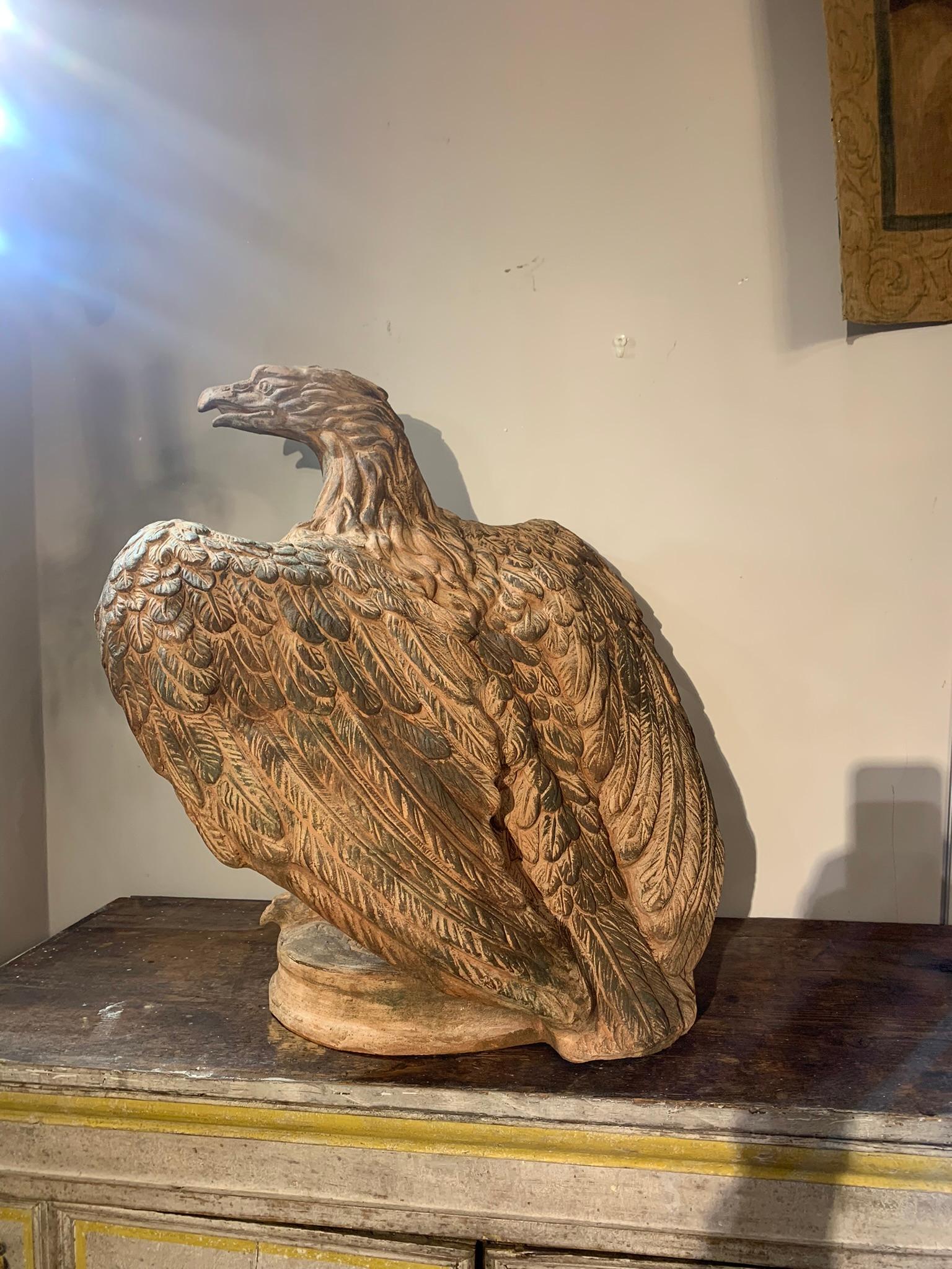 Mid-19th Century, Couple of Tuscany Terracotta Eagles 7