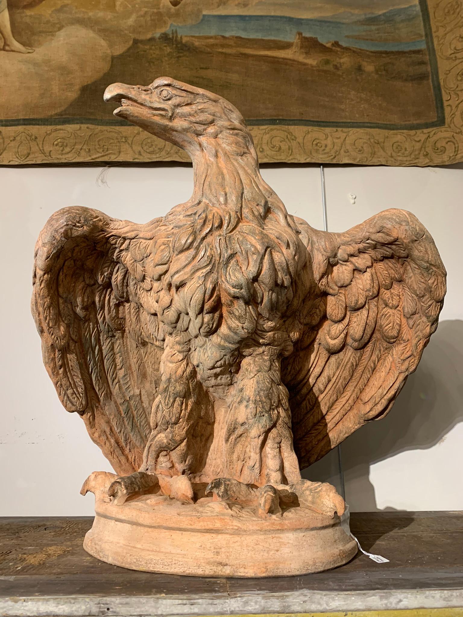 Mid-19th Century, Couple of Tuscany Terracotta Eagles 8