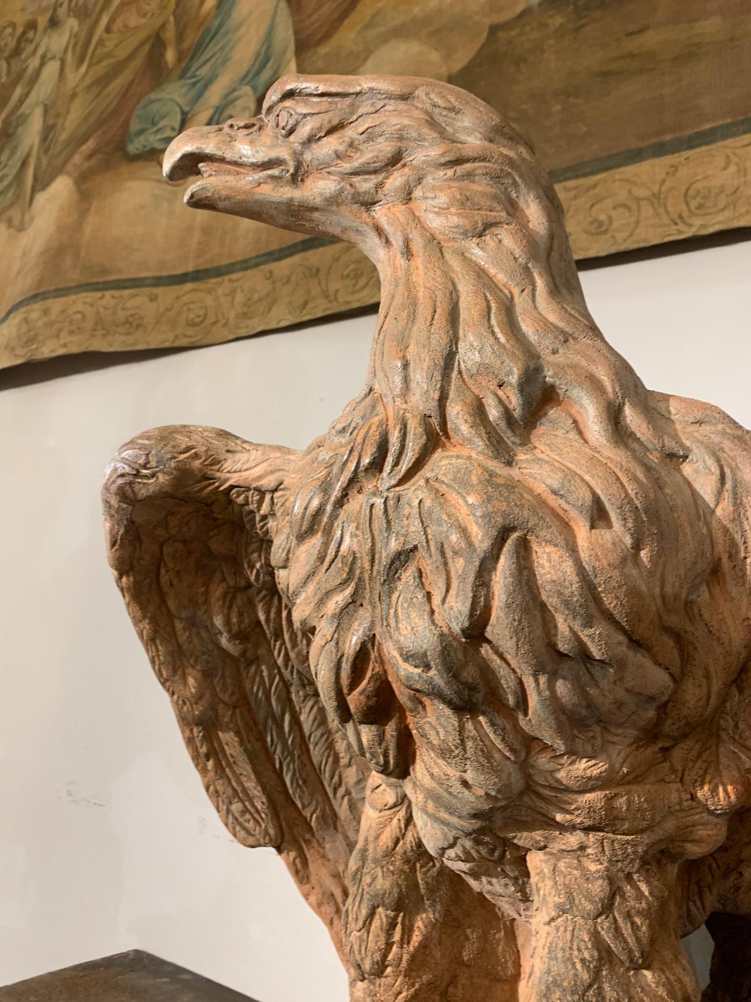 Mid-19th Century, Couple of Tuscany Terracotta Eagles 9