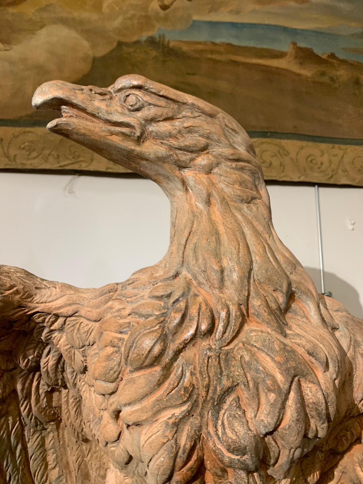 Mid-19th Century, Couple of Tuscany Terracotta Eagles 10