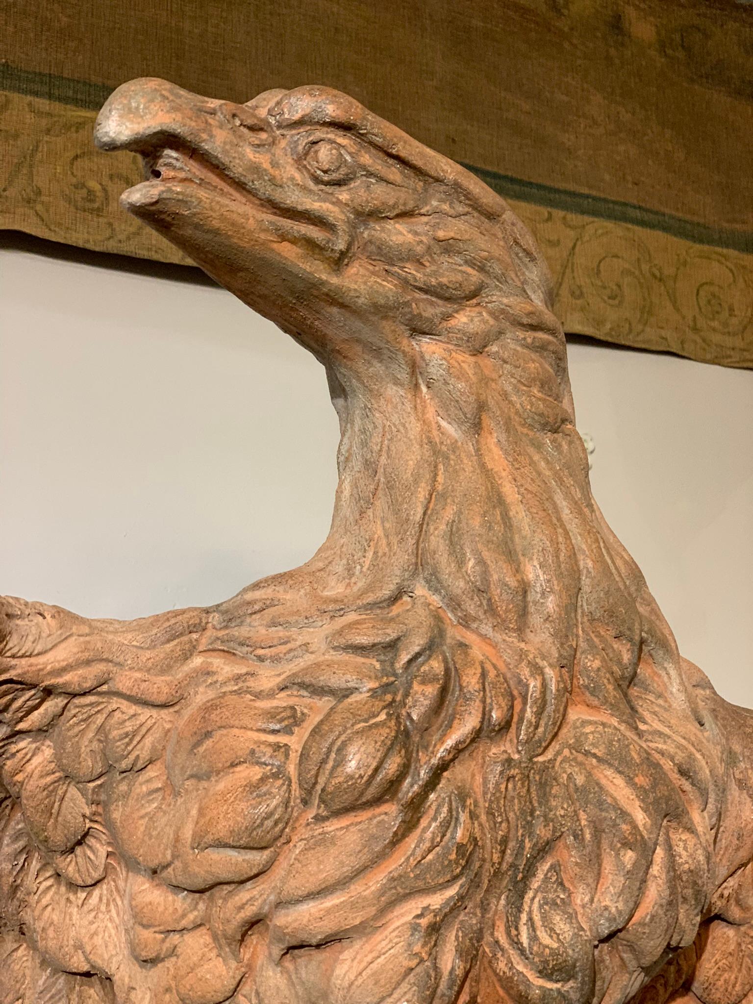 Mid-19th Century, Couple of Tuscany Terracotta Eagles 11