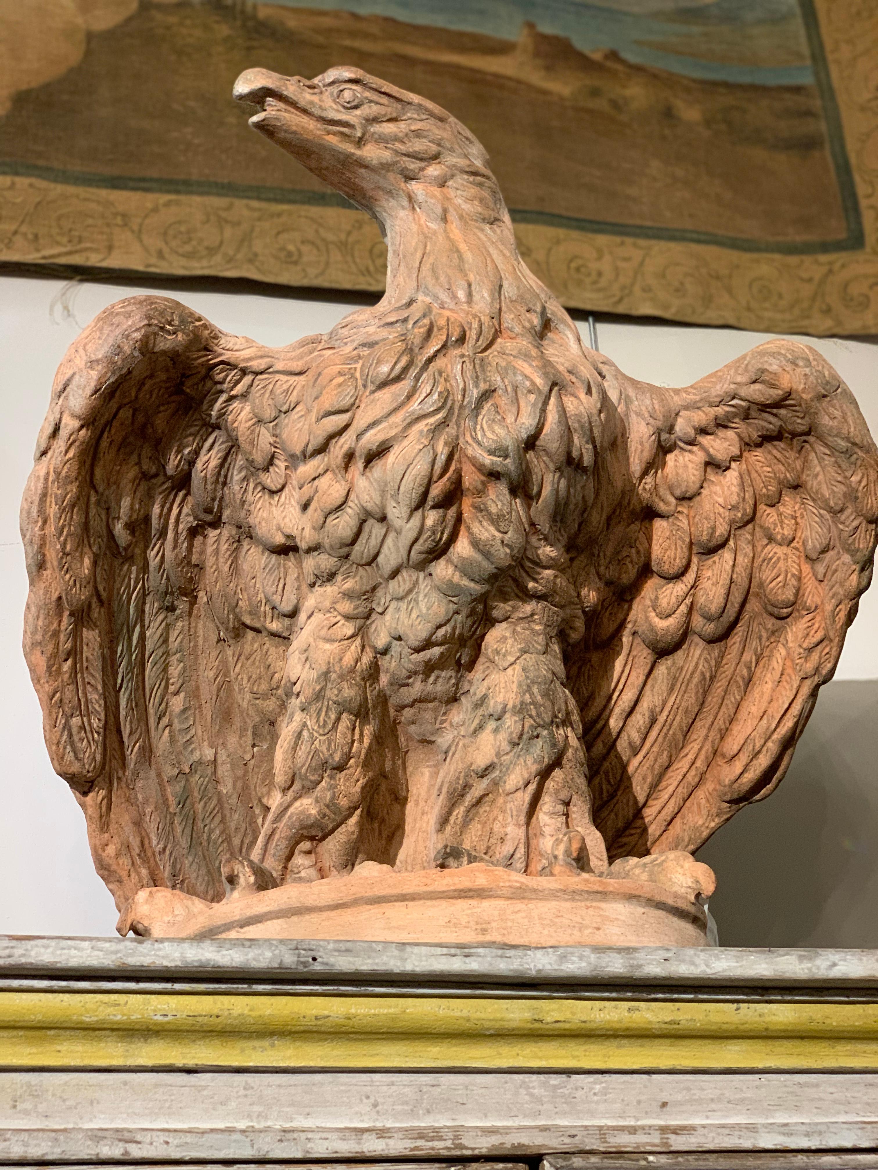 Mid-19th Century, Couple of Tuscany Terracotta Eagles 12