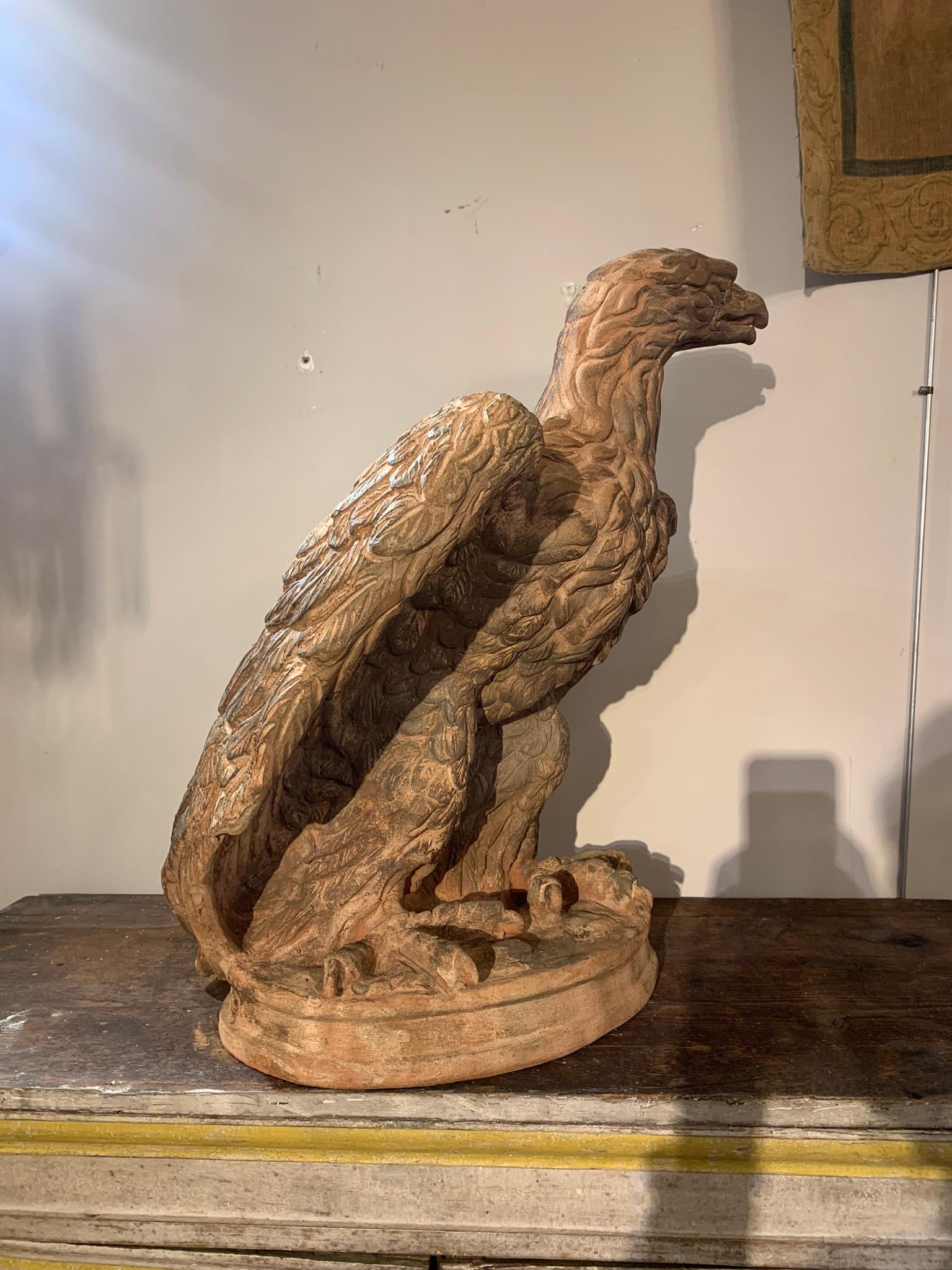 Mid-19th Century, Couple of Tuscany Terracotta Eagles 3