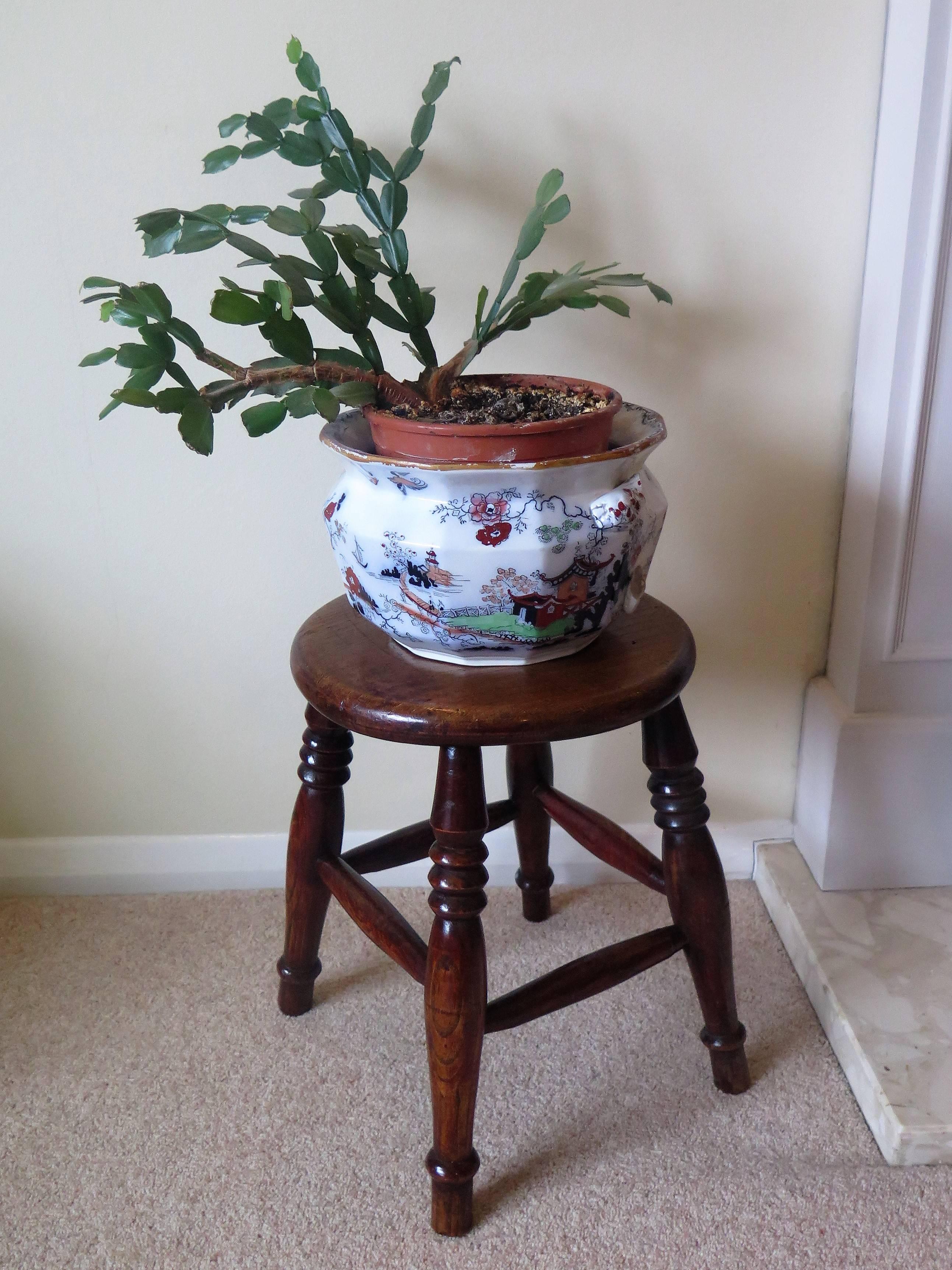 Elm Stool or Stand North East Yorkshire English Maker, Circa 1850 For Sale 13