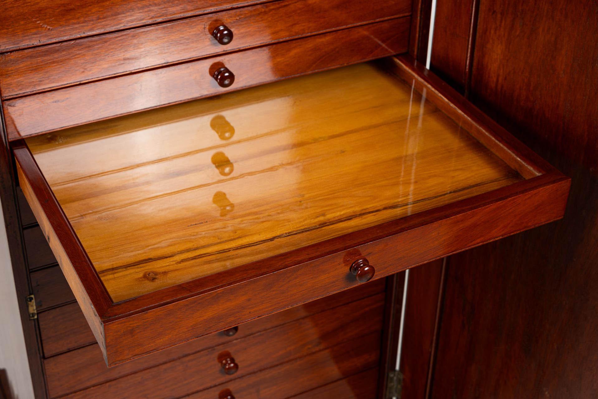 Mid 19th Century English Collectors cabinet with 14 Drawers For Sale 4