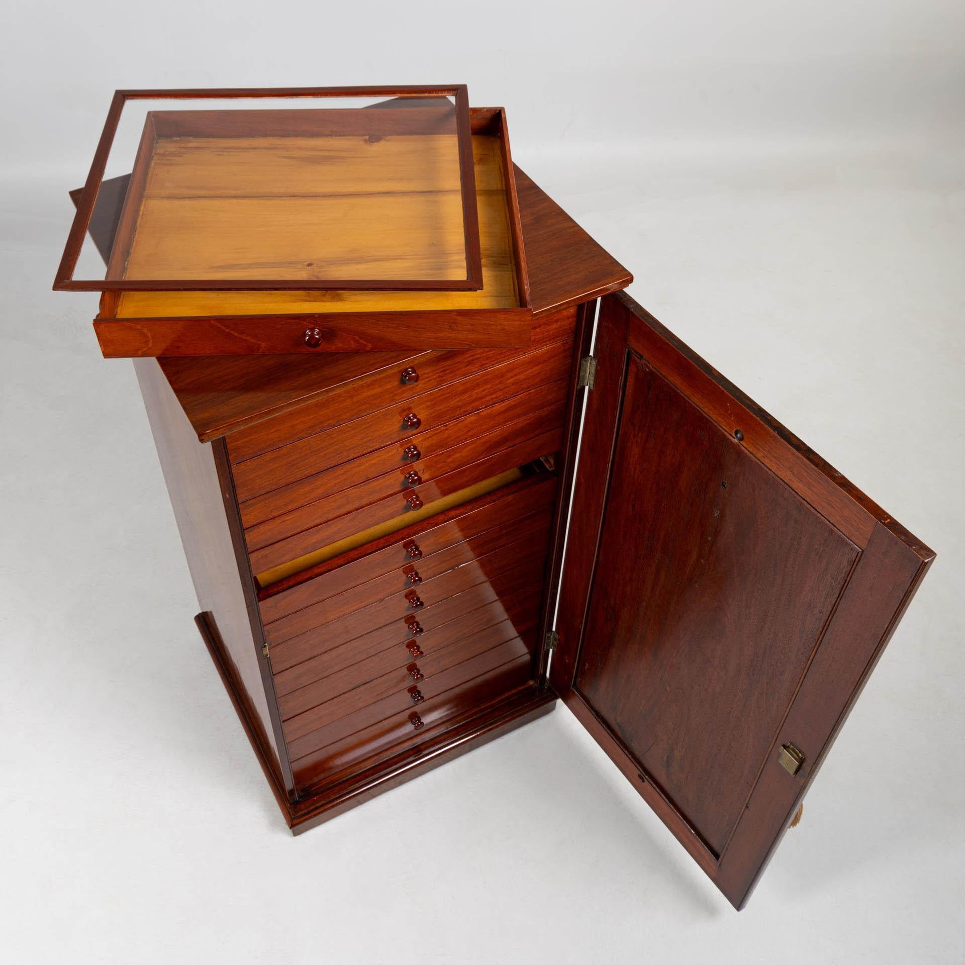 Mid 19th Century English Collectors cabinet with 14 Drawers For Sale 5