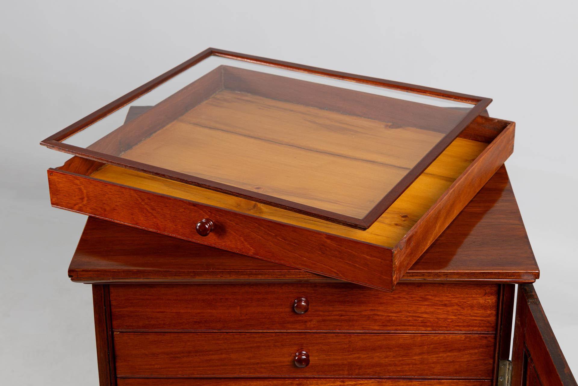 Mid 19th Century English Collectors cabinet with 14 Drawers For Sale 6