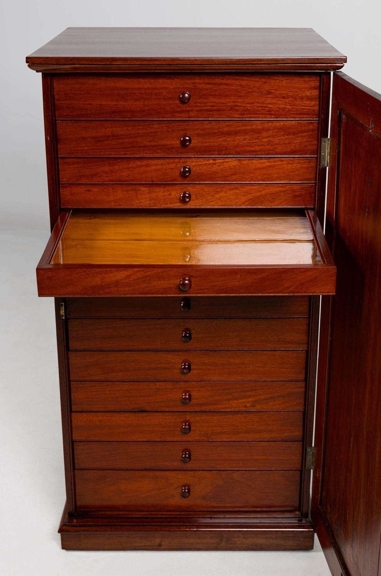 Mid 19th Century English Collectors cabinet with 14 Drawers For Sale 3