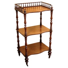 Mid 19th Century English Mahogany Etagere