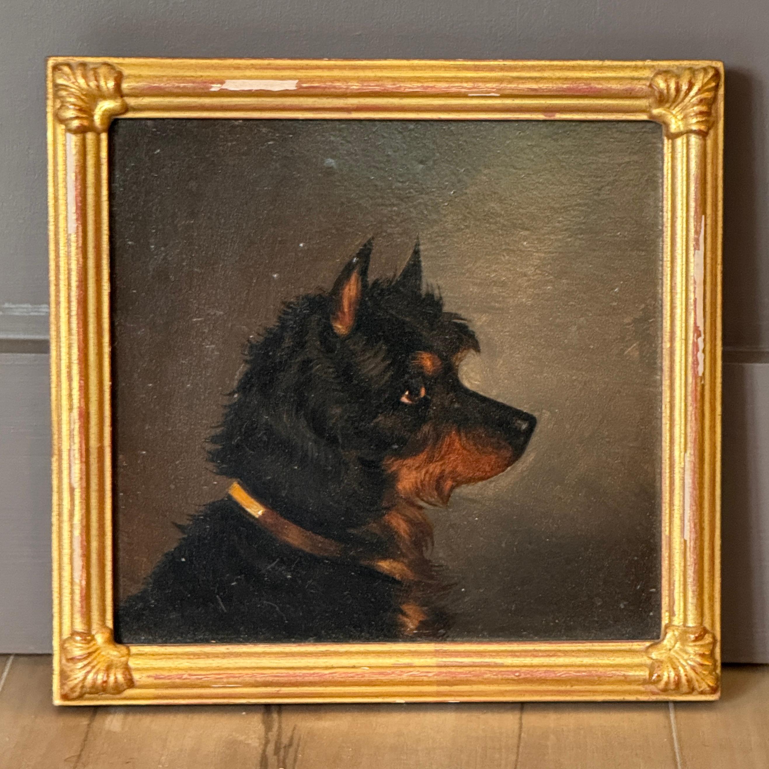 A charming mid 19th C. English oil on board portrait depicting a black terrier in profile, set against a neutral ground. The sitter is captured with alert expression and a collared neck, housed in its original giltwood frame.
